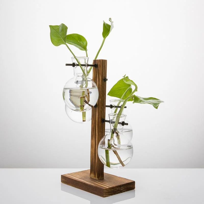 Terrarium Bulb Vase - Glova